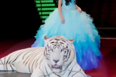 Quinceanera 15 anos -28