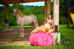 Quinceanera 15 anos -3