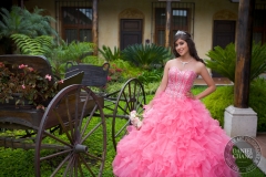 Quinceanera 15 anos -46