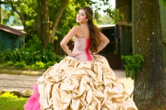 Quinceanera 15 anos -5