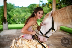 Quinceanera 15 anos -6