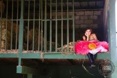 Quinceanera 15 anos -7