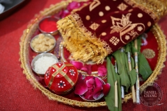 destination wedding photographer INDIA-5